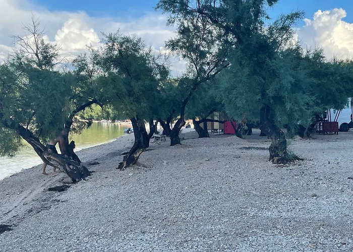 营地 Sunny Donji Karin